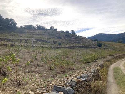 Terrain agricole - 10 846 m²