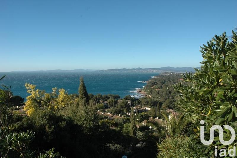 Studio - 31 m² - 1 pièce