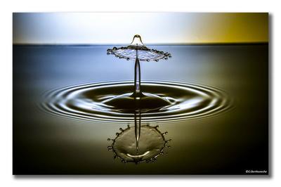 Salon de la photo 2026