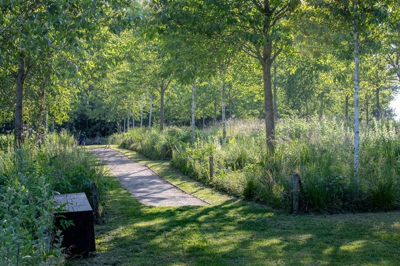 Rendez-vous aux jardins - Visite guidée du Jardin de la paix Français « Promenade en sous-bois, lumières et transparences » par les paysagistes-concepteurs Élise et Martin Hennebique