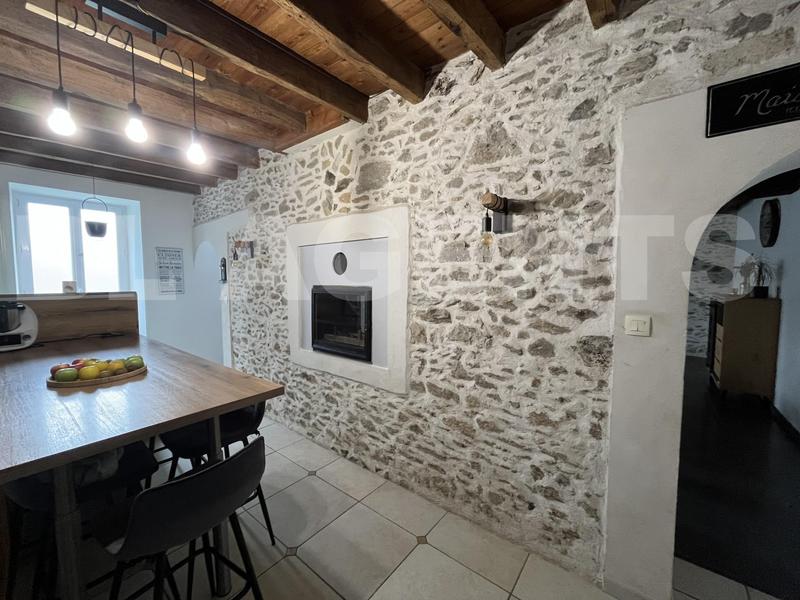 Maison - 270 m² - 10 pièces
