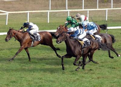 Courses - Hippodrome de la Teste de Buch