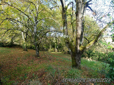 Maison - 122 m² - 5 pièces