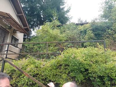 Maison - 44 m² - 2 pièces