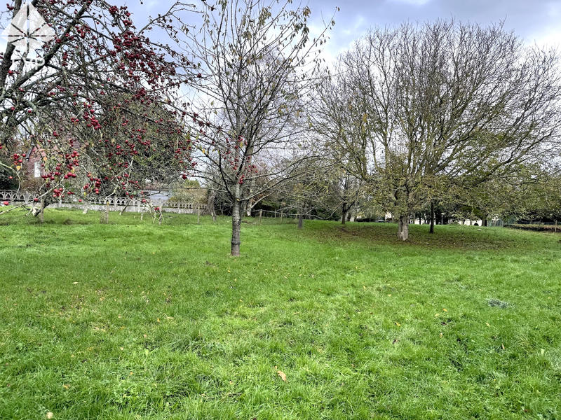 Maison - 113 m² - 6 pièces