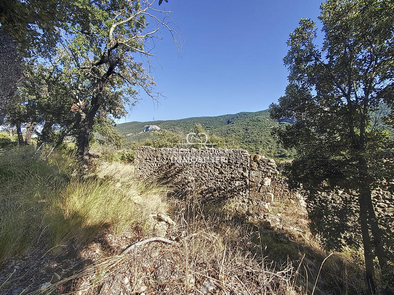 Mas - 99 m² - 3 pièces