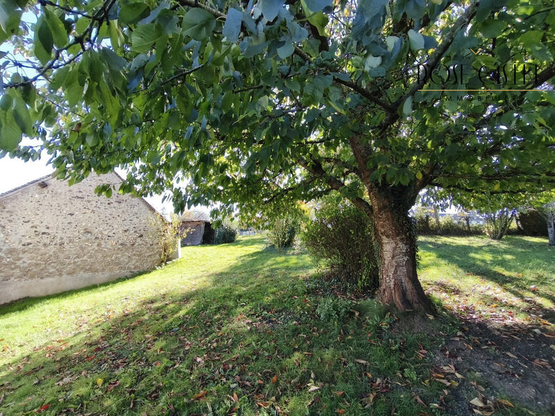 Maison ancienne - 129 m² - 5 pièces