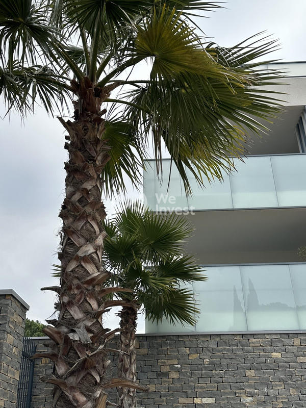 Appartement - 132 m² - 4 pièces