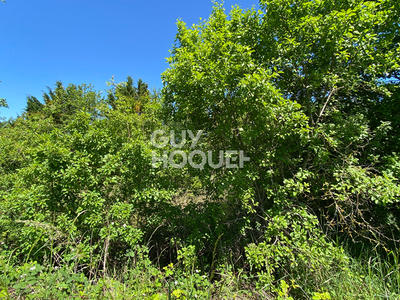 Terrain - 33 667 m²