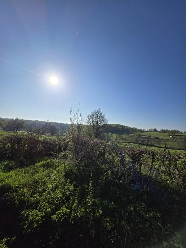 Maison - 90 m² - 3 pièces