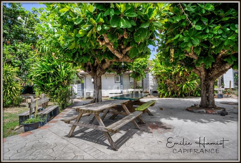 Appartement - 50 m² - 3 pièces