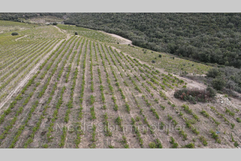 Terrain agricole - 21 183 m²