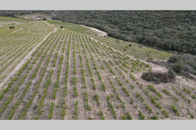 Terrain agricole - 21 183 m²