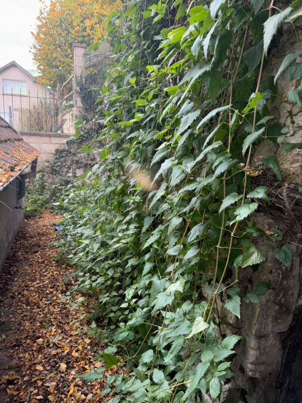 Maison - 60 m² - 4 pièces