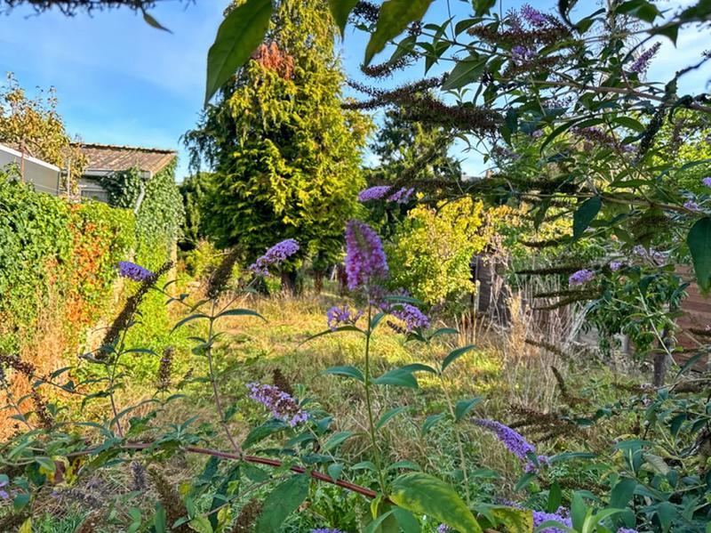 Maison - 144 m² - 6 pièces