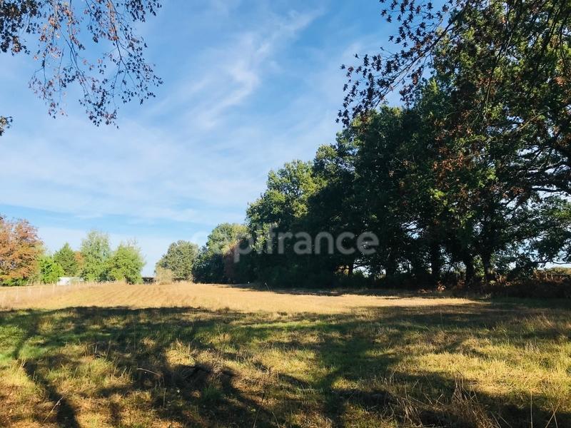 Terrain constructible - 9 346 m²