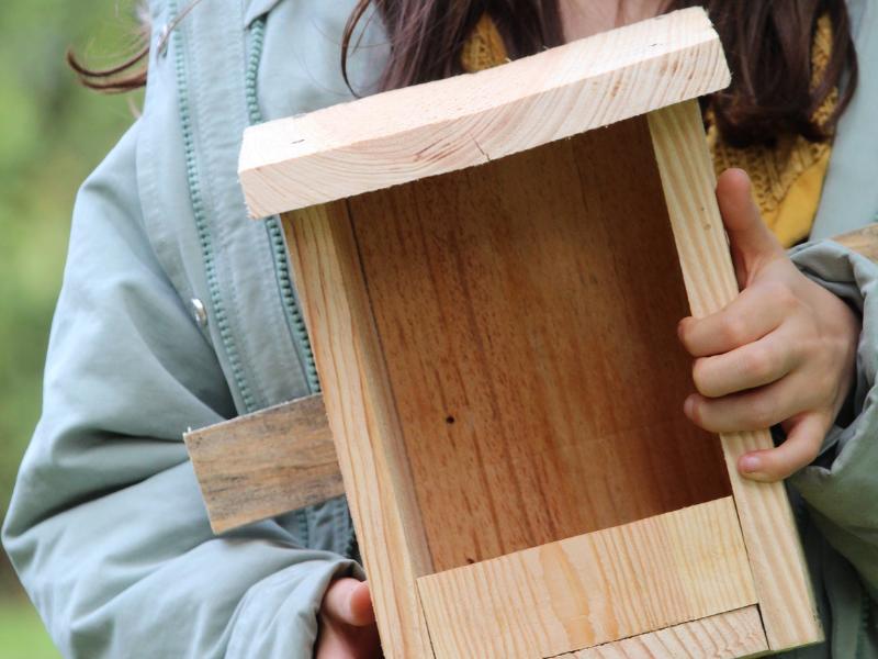 Fête de la biodiversité