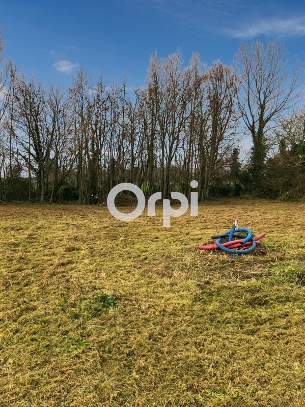 Terrain constructible - 1 004 m²