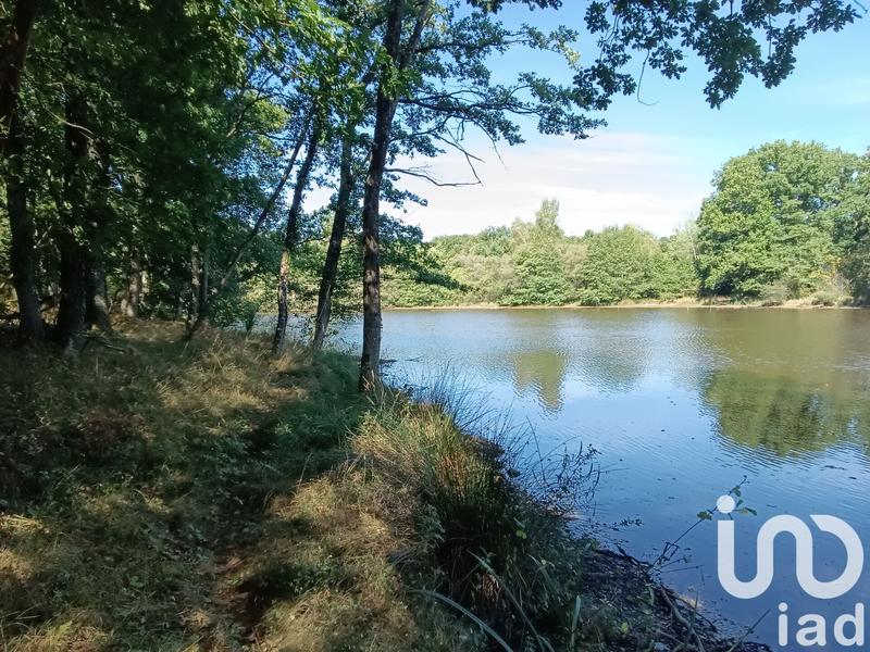 Terrain - 37 398 m²