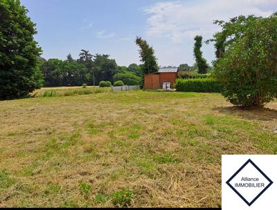 Terrain - 440 m²