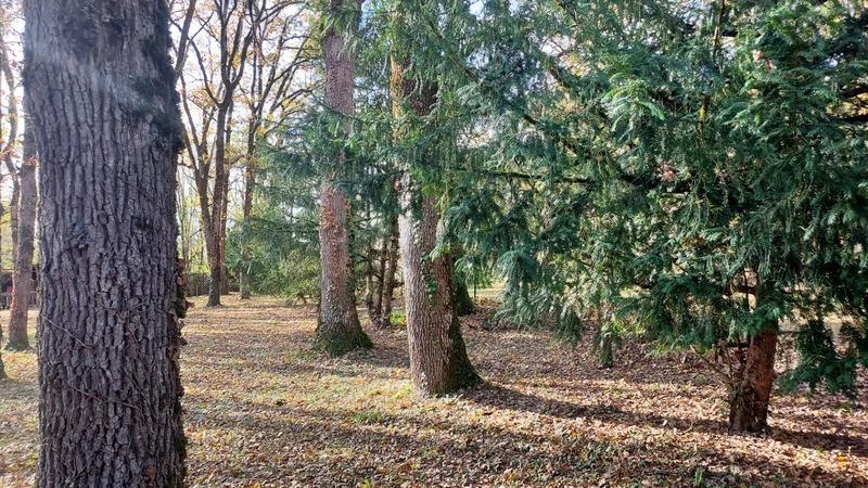 Terrain constructible - 1 090 m²