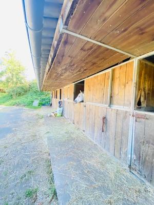 Maison de domaine équestre - 100 m² - 8 pièces