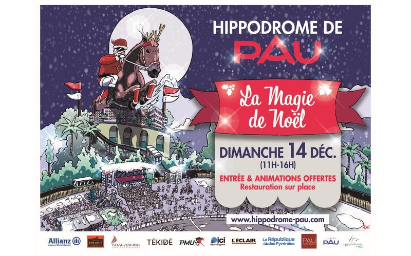 Courses Hippodrome de Pau - la magie de Noël