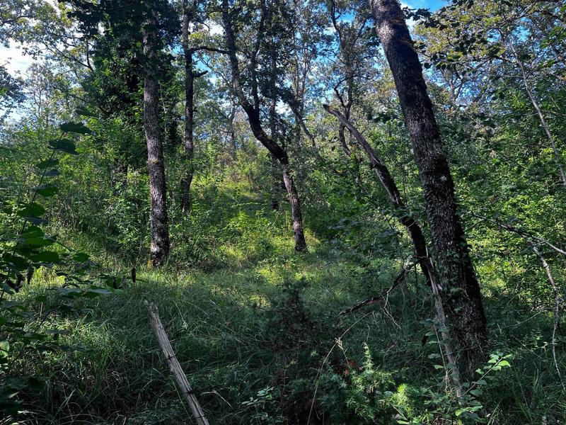 Terrain - 13 065 m²