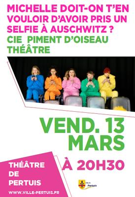 Michelle doit-on t'en vouloir d'avoir pris un selfie à Auschwitz?