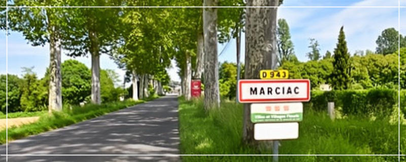 Local commercial - 256 m² - 8 pièces