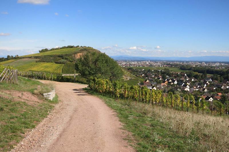 Club Vosgien : Marche douce à Turckheim