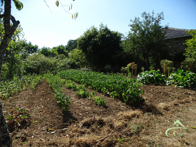 Maison ancienne - 105 m² - 5 pièces