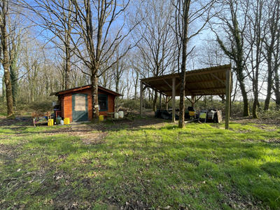 Terrain - 34 900 m²