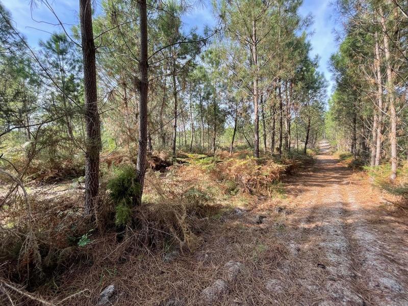 Terrain - 34 718 m²