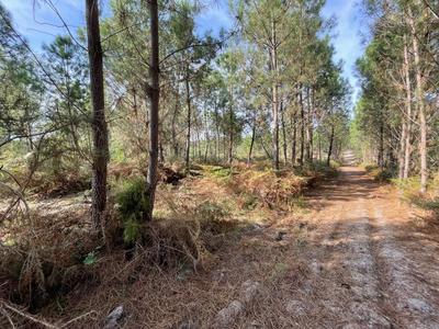 Terrain - 34 718 m²