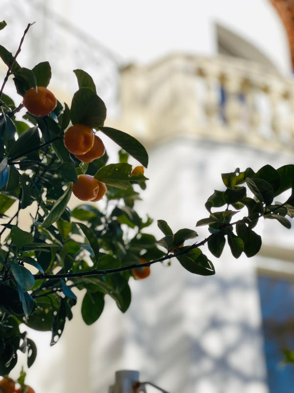 Maison - 220 m² - 6 pièces