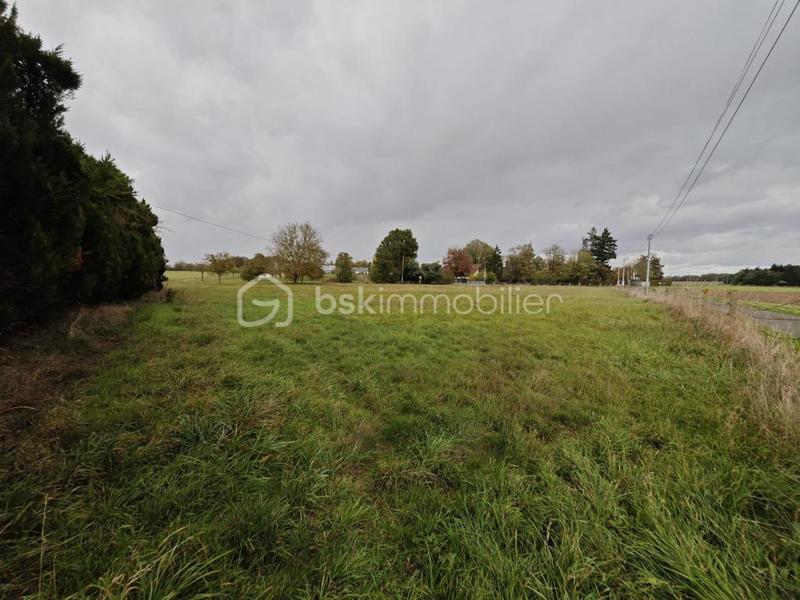 Pavillon - 125 m² - 5 pièces