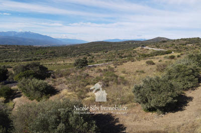 Terrain agricole - 15 907 m²