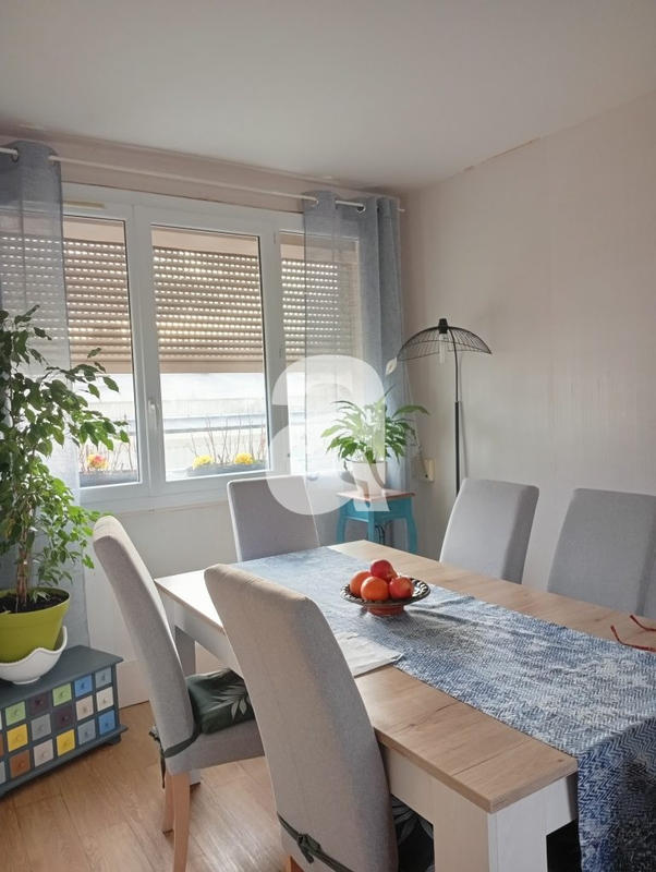 Appartement - 55 m² - 3 pièces