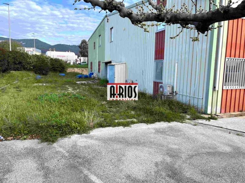 Local d'activité / Entrepôt - 1 710 m²