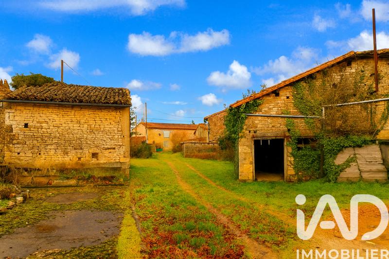 Immeuble - 1 055 m²