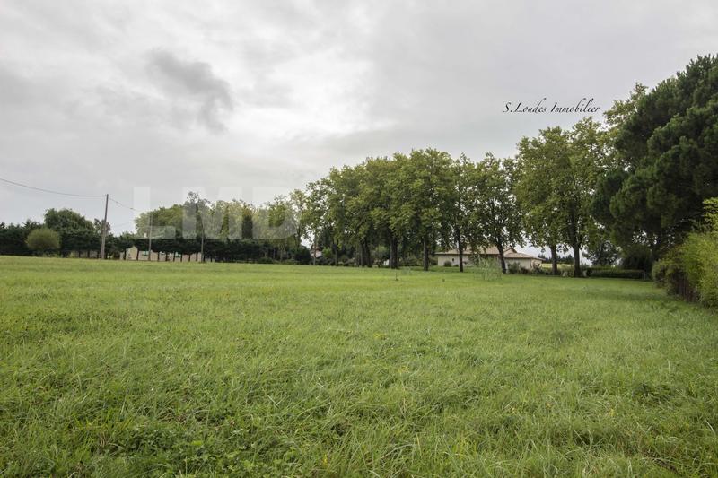 Terrain - 1 238 m²