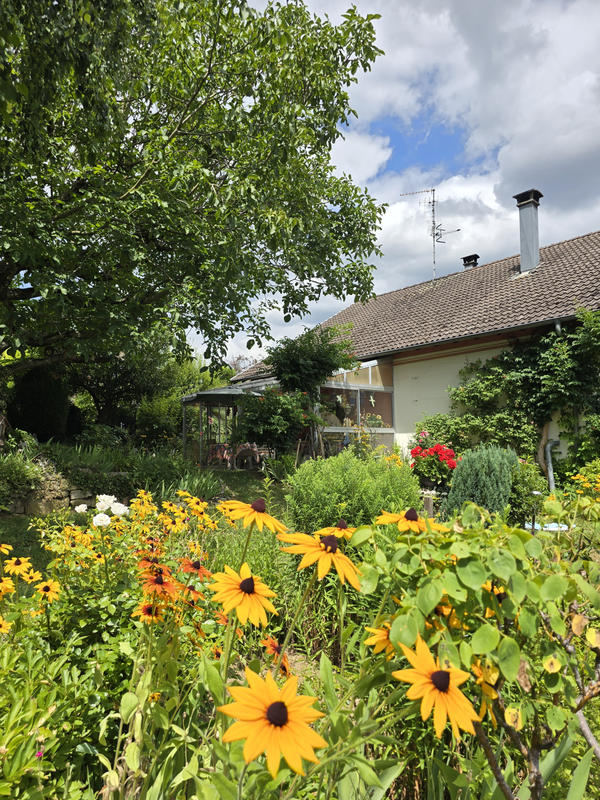 Viager - Maison - 103 m² - 3 pièces