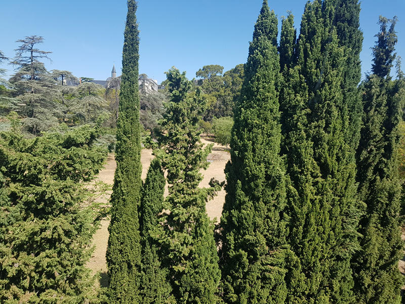 Appartement - 61 m² - 4 pièces