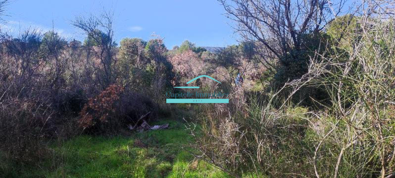 Terrain agricole - 21 172 m²