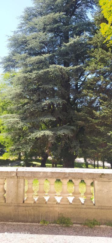 Château - 678 m² - 25 pièces