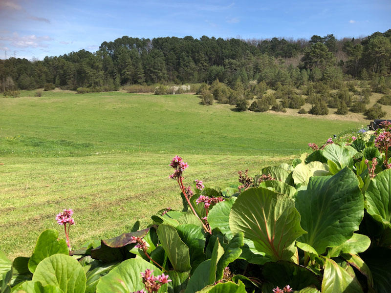 Propriété - 538 m² - 24 pièces