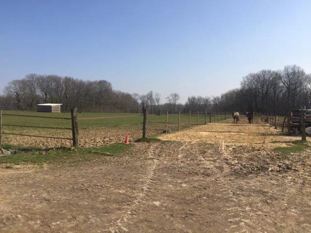 Maison de domaine équestre - 231 m² - 7 pièces