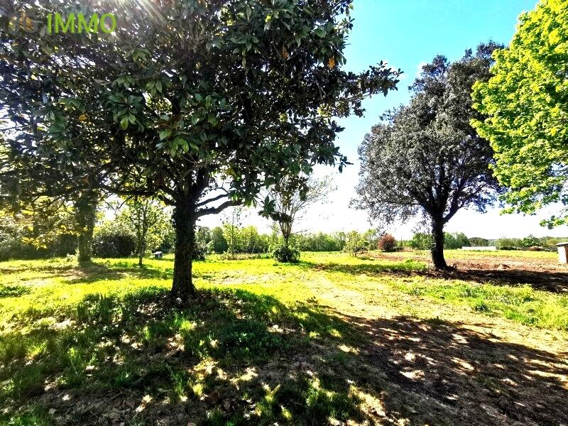 Maison ancienne - 95 m² - 5 pièces