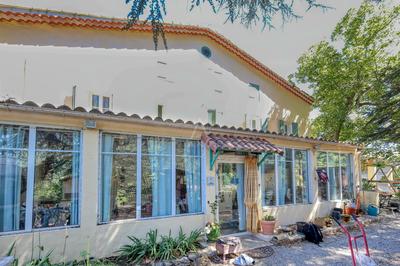 Viager - Maison - 316 m² - 8 pièces